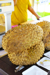 Similar image 9797109