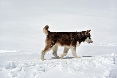 Similar image 9799390