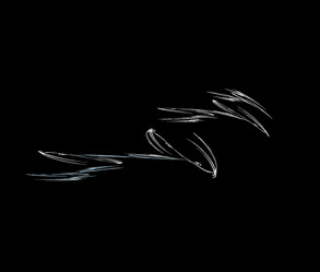 Similar image 9799877