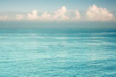 Similar image 9800083