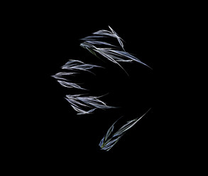 Similar image 9800162