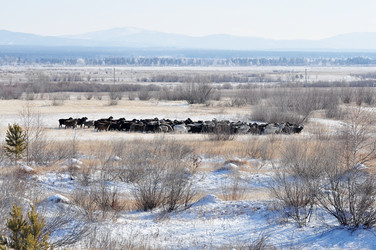 Similar image 9800772