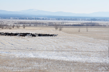 Similar image 9800823