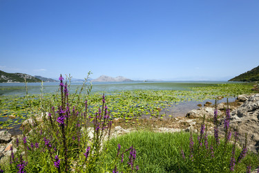 Similar image 9801449