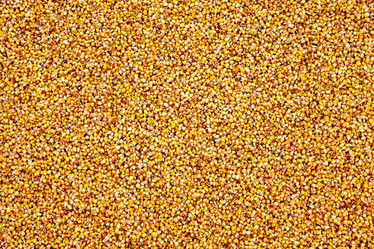 Similar image 9801618