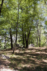 Similar image 9801960