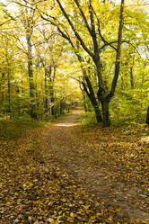 Similar image 9801977