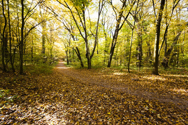 Similar image 9801979