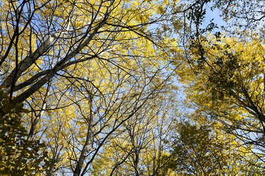 Similar image 9801980