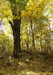 Similar image 9801982