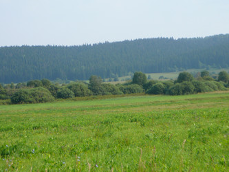 Similar image 9802552