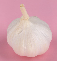 Similar image 9802609