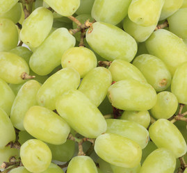 Similar image 9802735