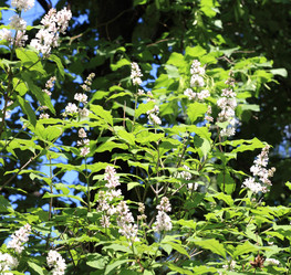 Similar image 9802843