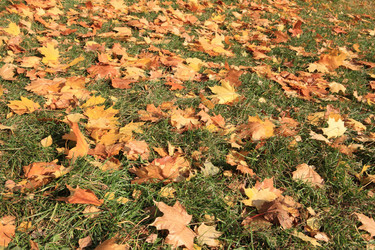 Similar image 9802955