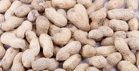 Similar image 9802961