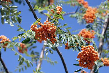 Similar image 9803098