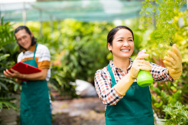 Similar image 9804205