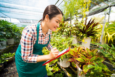 Similar image 9804212