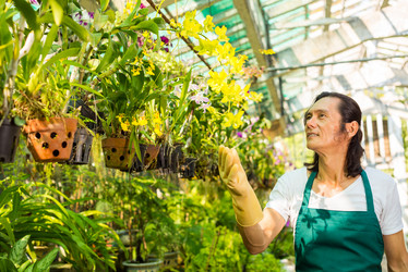 Similar image 9804224