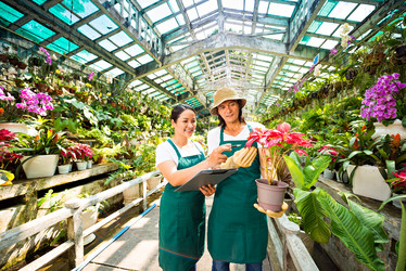 Similar image 9804227