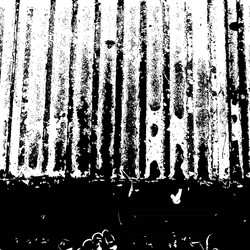 Similar image 9804899