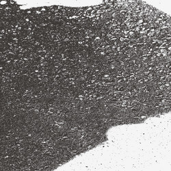 Similar image 9804976