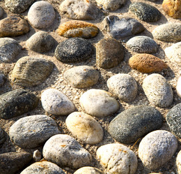 Similar image 9806033