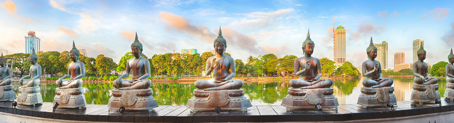 Similar image 9866593