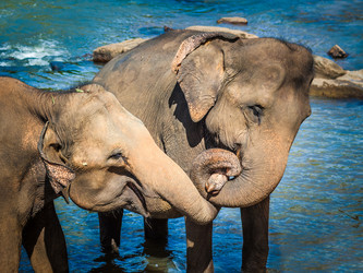 Similar image 9866879