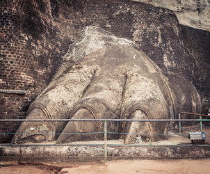 Similar image 9866915