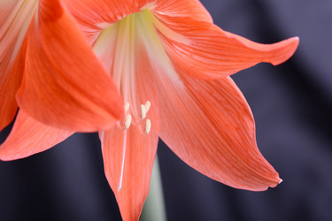 Similar image 9867190