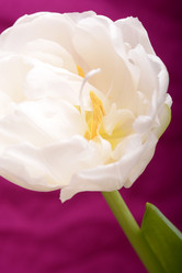 Similar image 9867311