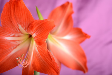 Similar image 9867423