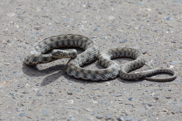 Similar image 9868569