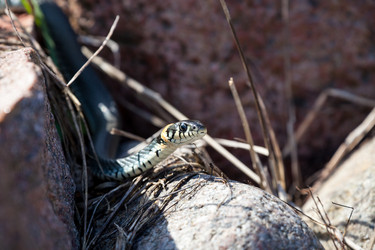 Similar image 9868571