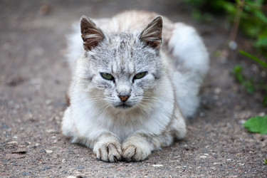 Similar image 9868573