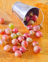 Similar image 9870541