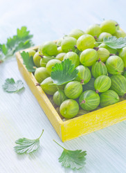 Similar image 9872081