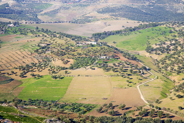 Similar image 9872200