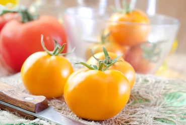 Similar image 9872609