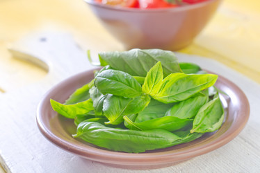 Similar image 9873045