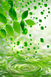 Similar image 9873651