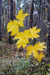 Similar image 9873949