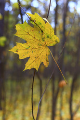 Similar image 9873953