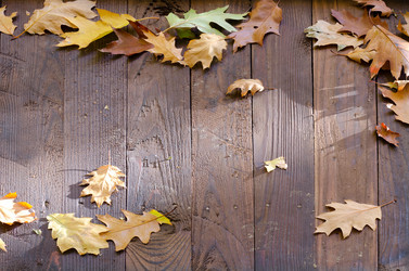 Similar image 9873975