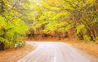 Similar image 9874335