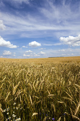 Similar image 9875577