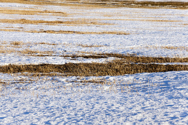 Similar image 9875766