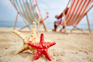 Similar image 9875793